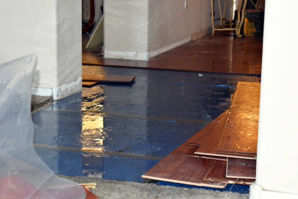 Professional Emergency Water Damage Restoration technician working in Remsen, IA